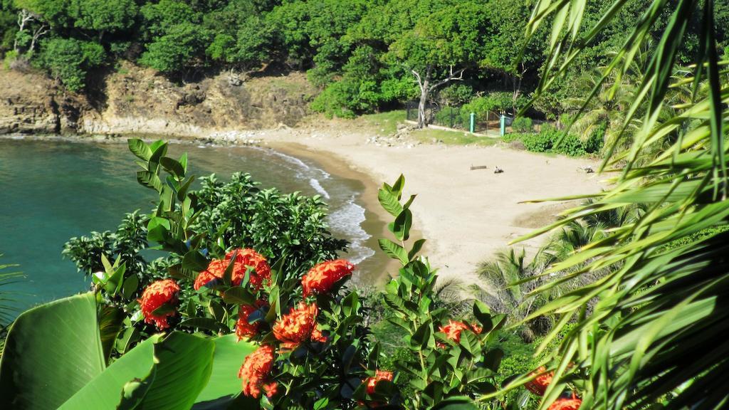 Anse Figuier Gites De France Terre-De-Haut Camera foto